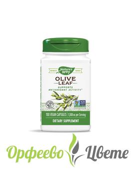 ХРАНИТЕЛНИ ДОБАВКИ Висок холестерол Olive Leaf/ Маслина (лист) 500 mg х 100 капсули